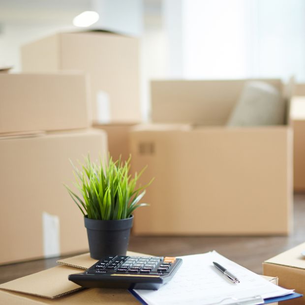 Professionelle Umzüge 